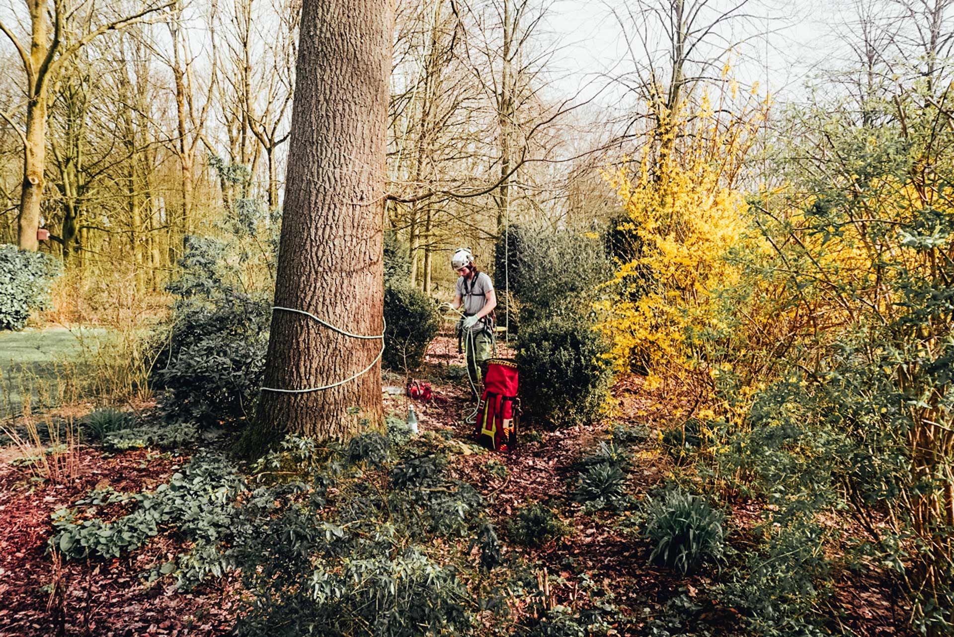 treeelicious_gallery_02